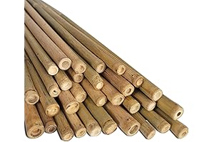 Plant Stakes Natural Bamboo Sticks for Indoor and Outdoor Plants - 16 inches