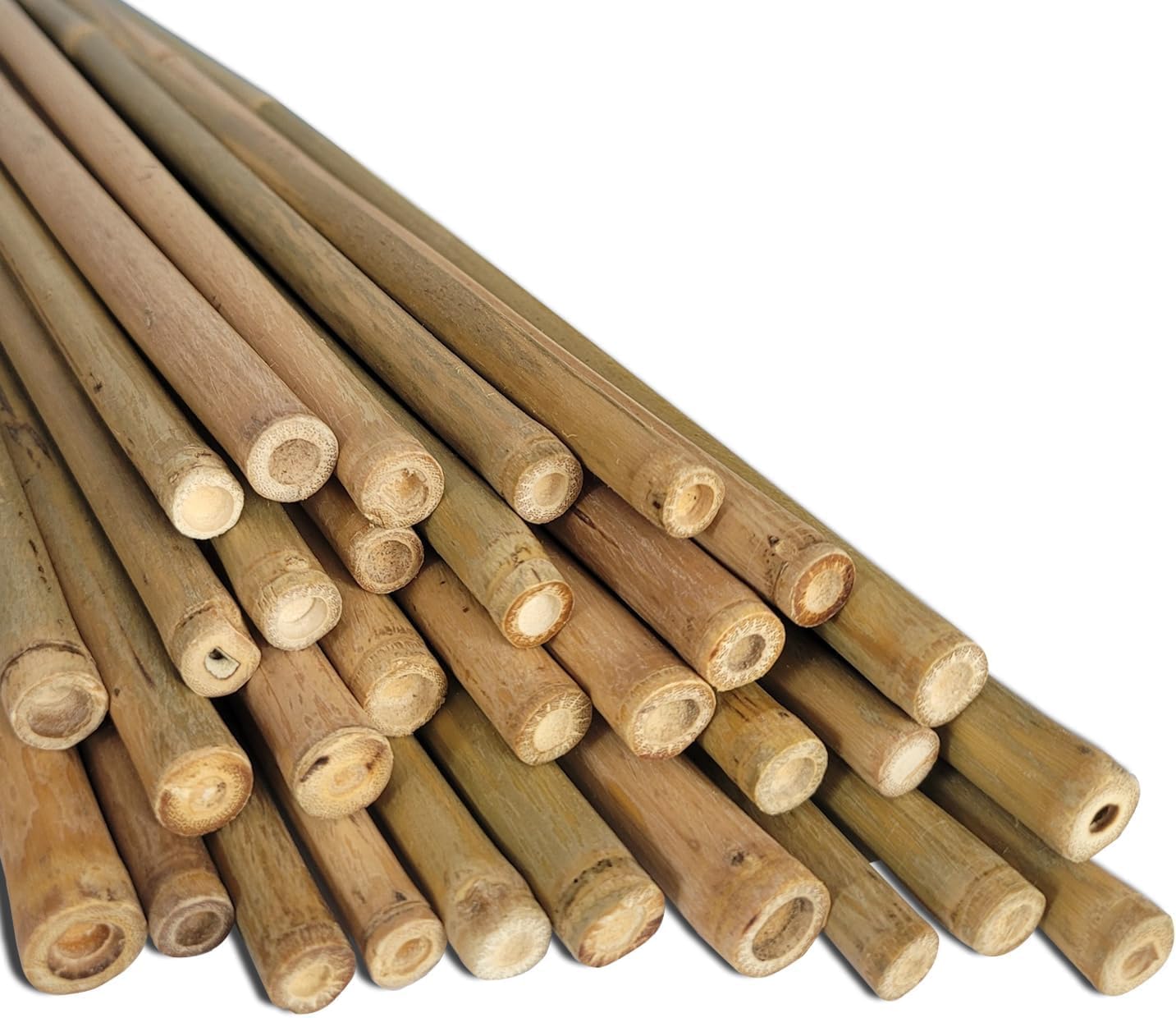 Dlh Western Natural Bamboo Poles, EcoFriendly Plant