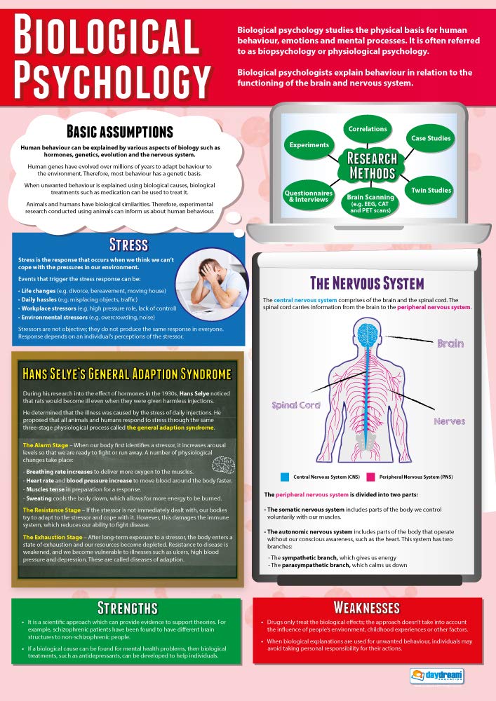 Daydream Education Biological Psychology | Psychology Posters | Gloss Paper measuring 850mm x 594mm (A1) | Psychology Charts for the Classroom | Education Charts โ image 1