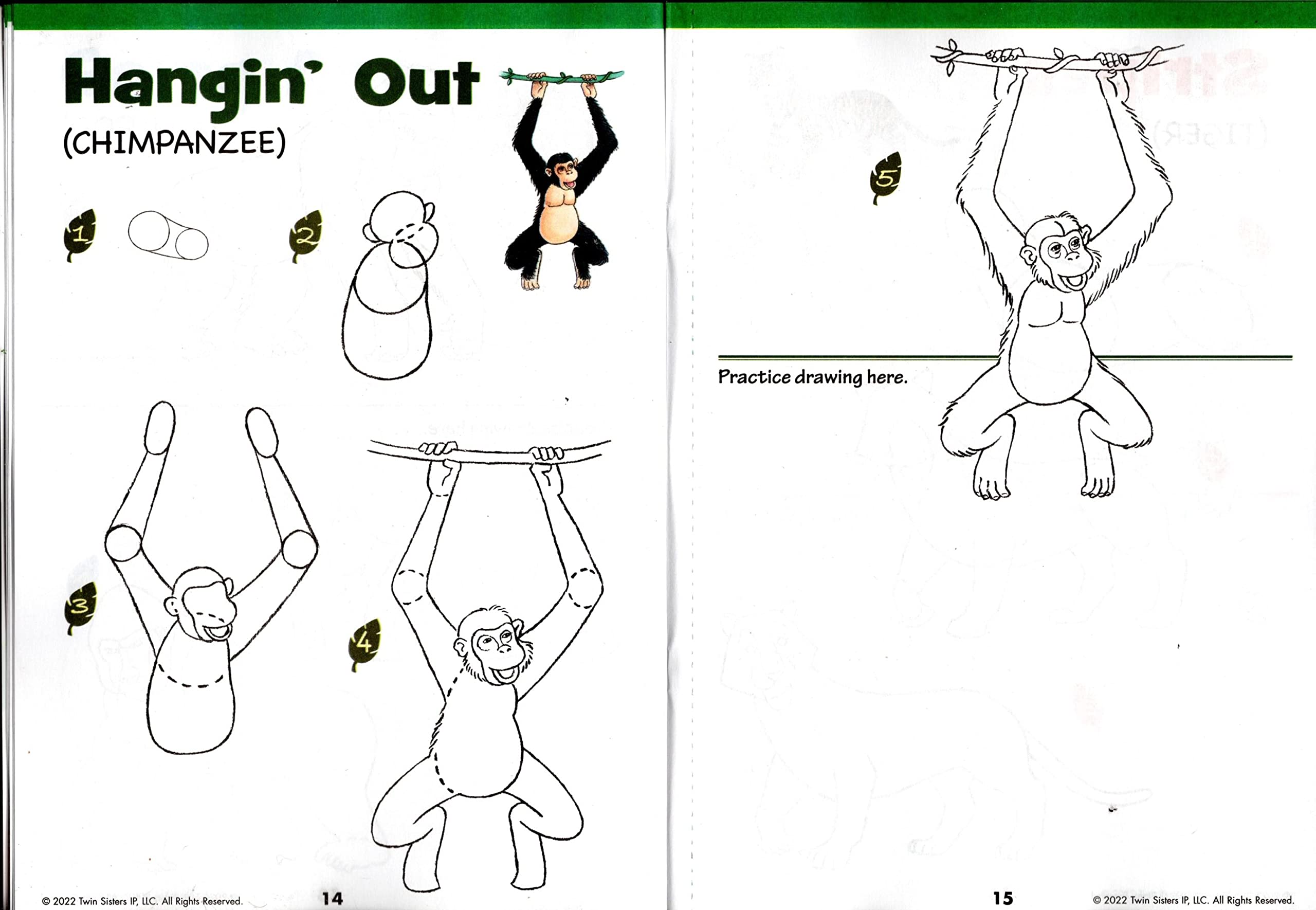 Creative Teaching Materials Learn to Draw Instructional Step-by-Step Tutorial Books - Let`s Draw Dogs&Cat, Big Machines, Jungle Animals - (Set of 3 Books) - Image 3