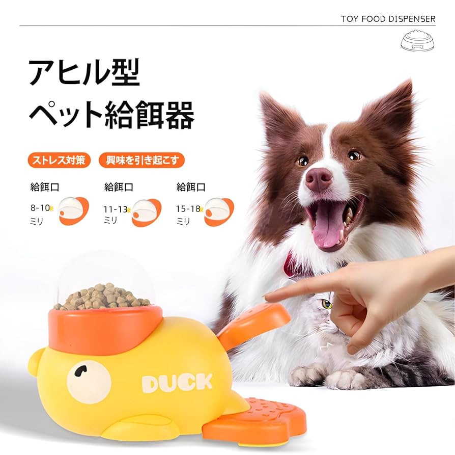 匠アヒル mqdefault.jpg