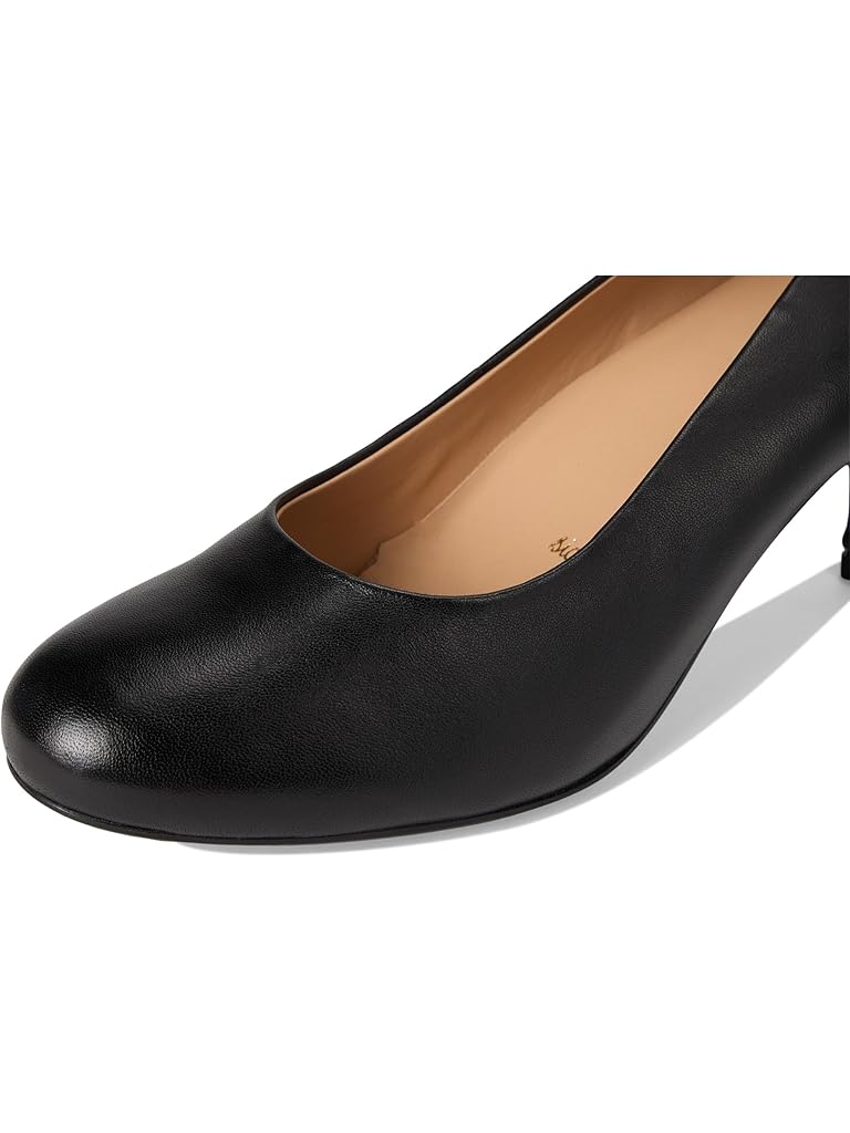 Black Trotters Lanay
