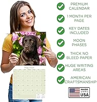 Vista 579 de Razas de Perros 2017