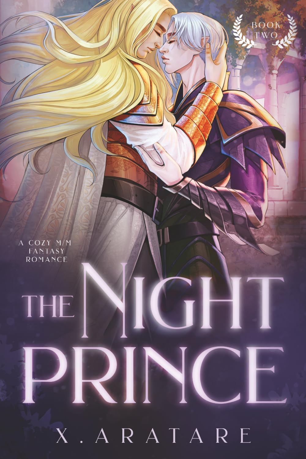 The Night Prince (Book 2): An M/M Cozy Fantasy Romance