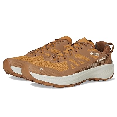 Oboz Katabatic LT Low GTX Men