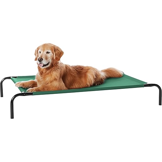 Amazon Basics Elevated Dog Cot Bed - Green, 51x31x8 Inches