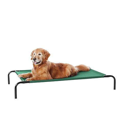 Amazon Basics Cooling Breathable Elevated Dog Bed with Metal Frame for Large Dogs, 51 x 31 x 8 Inch, Green - Green - Large