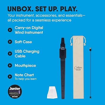 Carry On Digital Wind Instrument Black