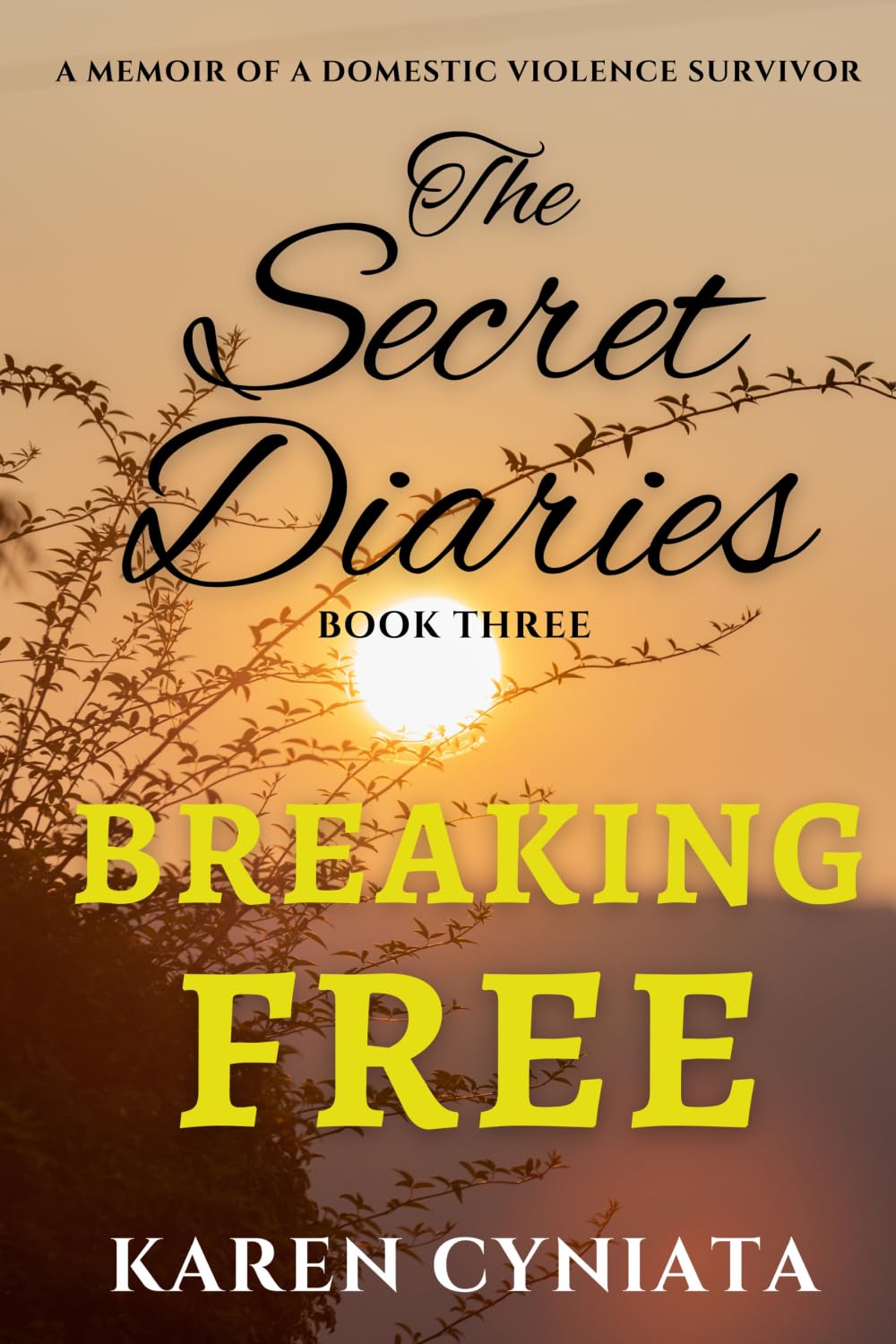 BREAKING FREE: The Secret Diaries - Book Three