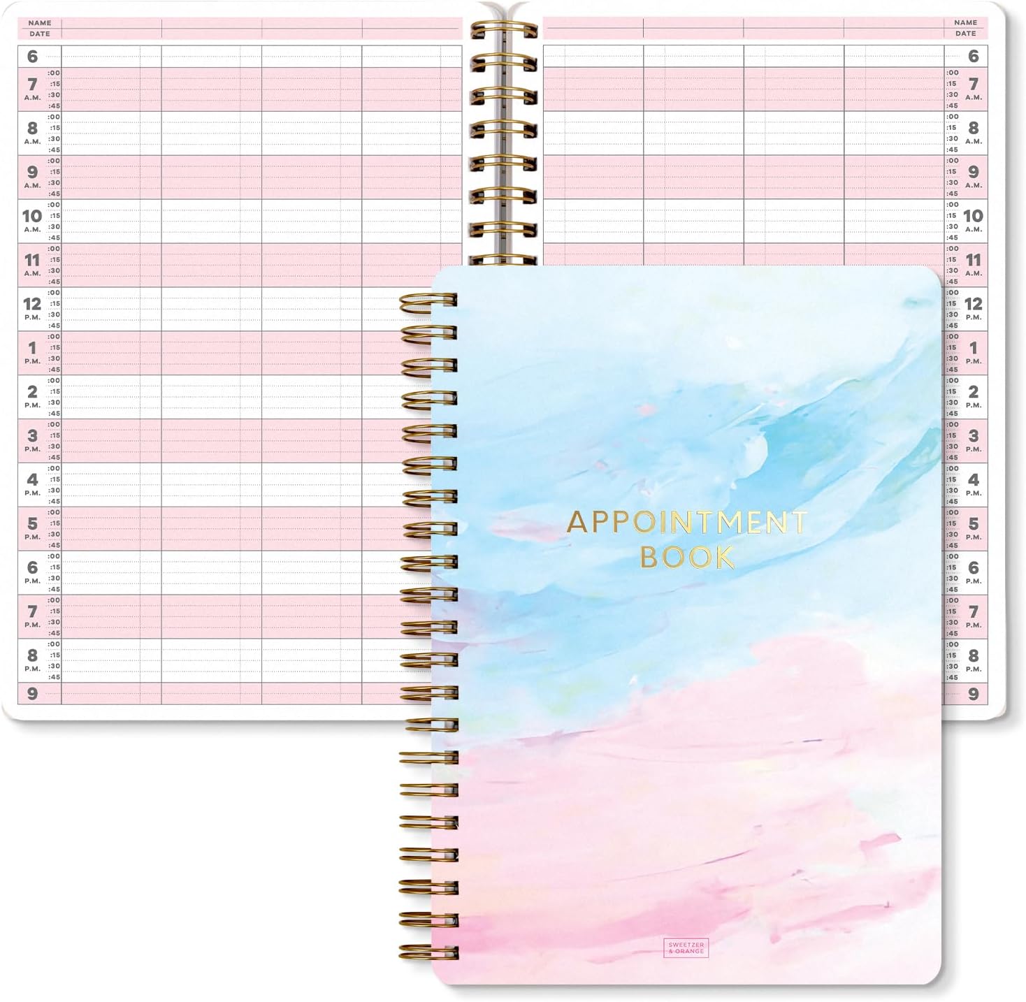 S&O Appointment Book with 15 Minute Slots, Daily Hourly Daybook 6AM to 9PM, Salon Slot journal, meeting Calendar, Everyday Schedule Organizer, Four Column Day Planner with Hourly Schedule, 2026 +