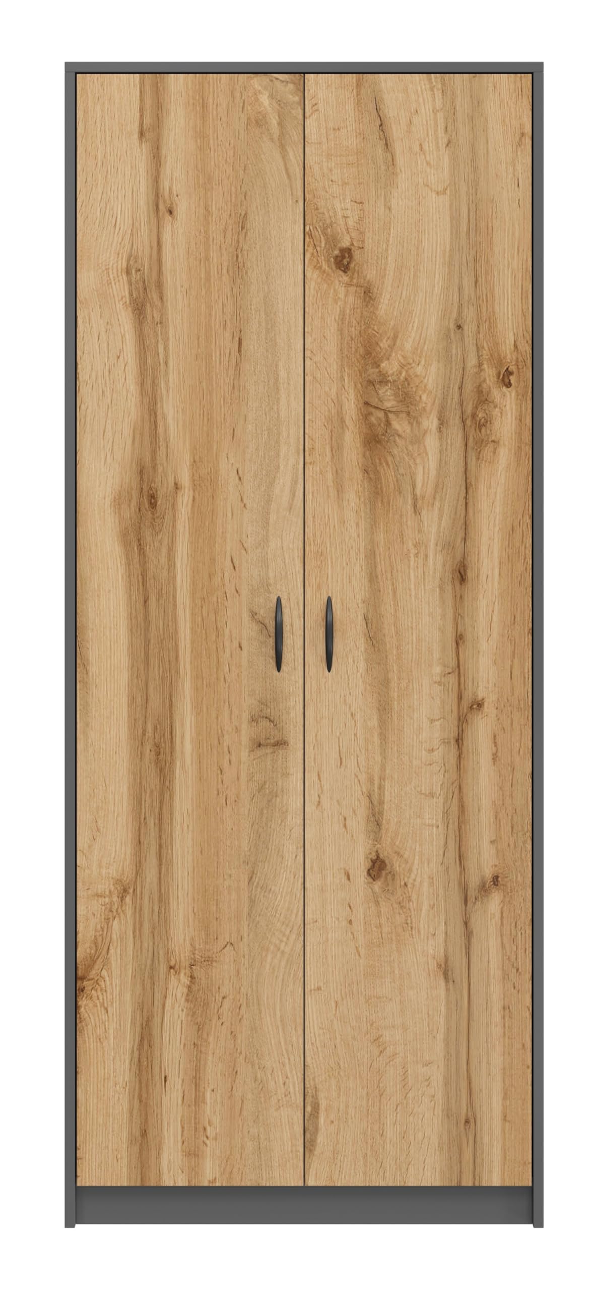BDW - Armoire à balais – Armoire de ménage – 74x35x180cm – Polyvalente pour balais, aspirateur et Produits d’Entretien – Dino Graphite/Chêne Wotan