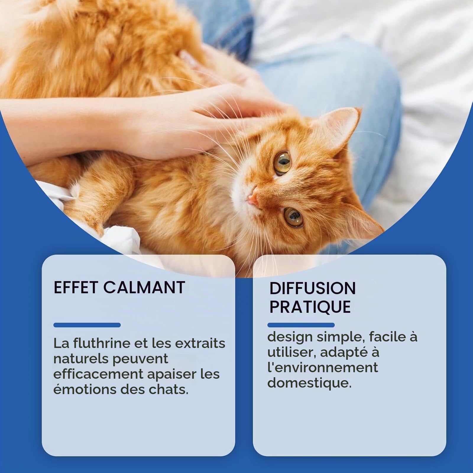 Petwellness Diffuseur Chat, Petwellness Diffuseur Chat Pour Arrêter De Faire Pipi Partout 6 En 1, Pet Wellness Diffuseur Pheromones Chat, Soulage Le Stress Anxieux,Réduit Les Bagarres (6 Bouteilles)