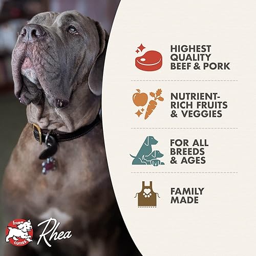 Miniatura 3 de Fromm Four-Star Nutritionals Beef Frittata Veg, alimento seco prémium para perros - Receta de carne de res - 26 libras