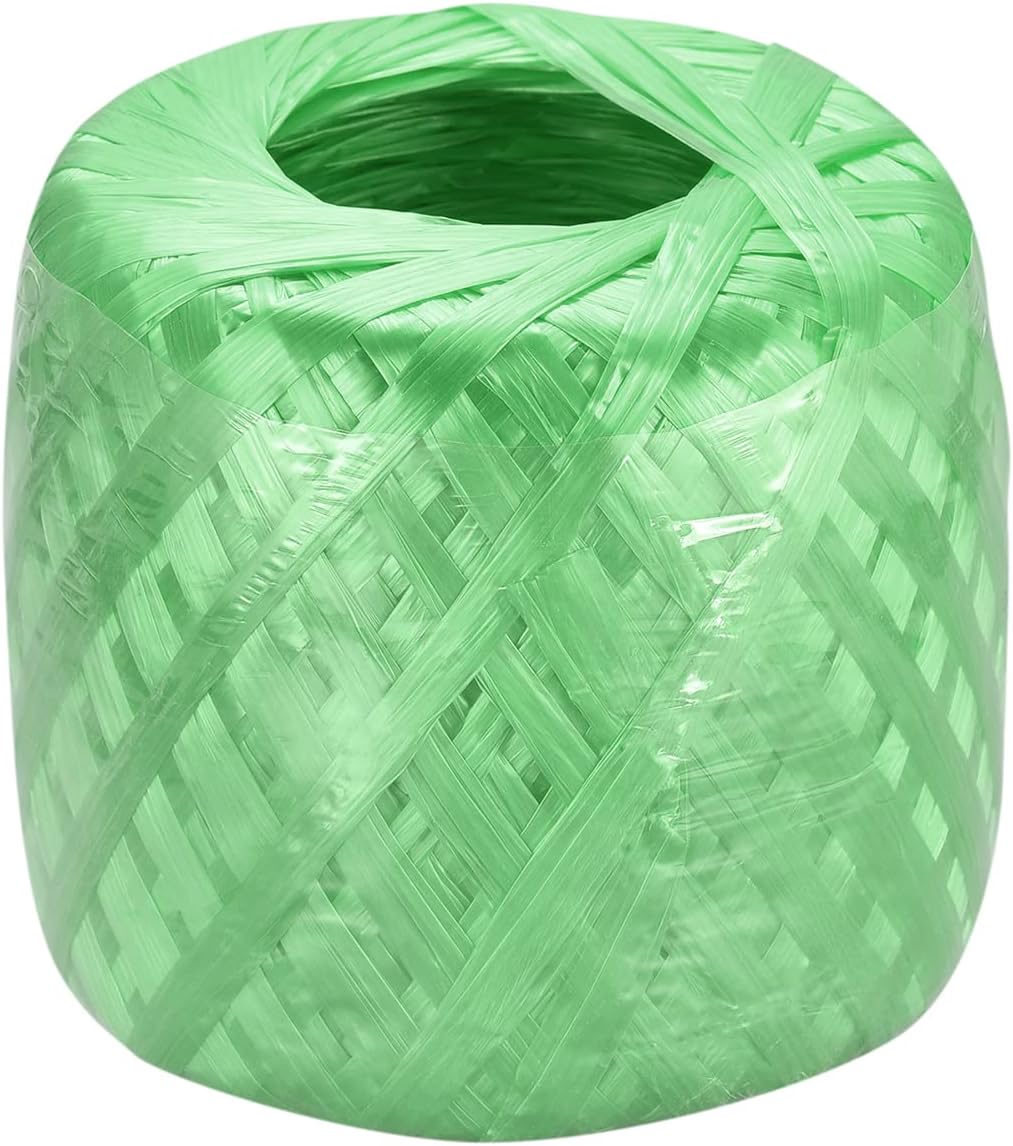 Generic Polyester Nylon Plastic Rope Twine Household Bundled for Packing Gardening Craft,200m Length,Green Pack of 1