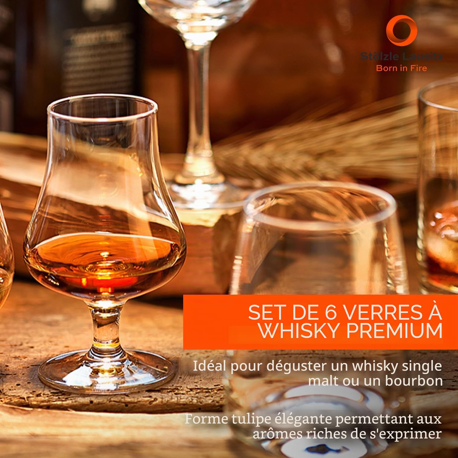 Stölzle_Lausitz Verre à dégustation 180ml I Service de 6 Verres à Whisky I Verre en Cristal sans Plomb I Verre à Scotch de qualité I Passe au Lave-Vaisselle I Verres Les pour Grandes Occasions