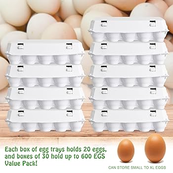 Amazon｜Hushee ジャンボパルプエッグカートン 30個パック 卵用