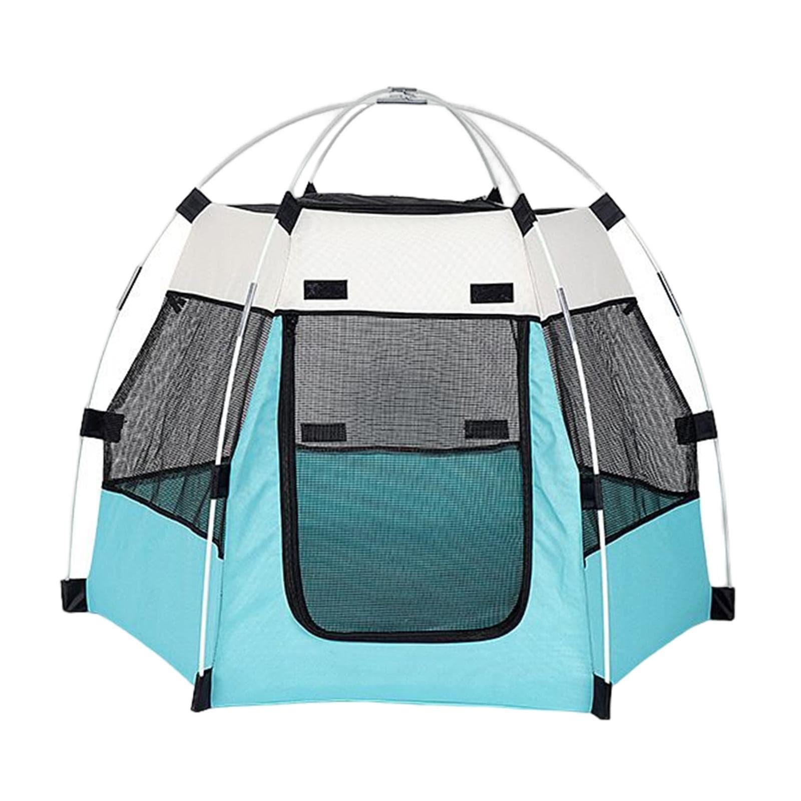 dog sleeping in tent