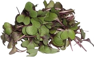 Fresh Origins-Micro Greens, Red Cabbage, 16 oz (4 packs of 4 oz each), Deep Purple Stems, Strong Cabbage Flavor