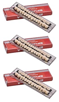 Dental Acrylic Resin Denture Teeth Synthetic Polymer Tooth Kit Upper + Lower for Dentistry, Education, Teaching Models, Halloween Horror Prop, Replacement, DIY 23A23SET