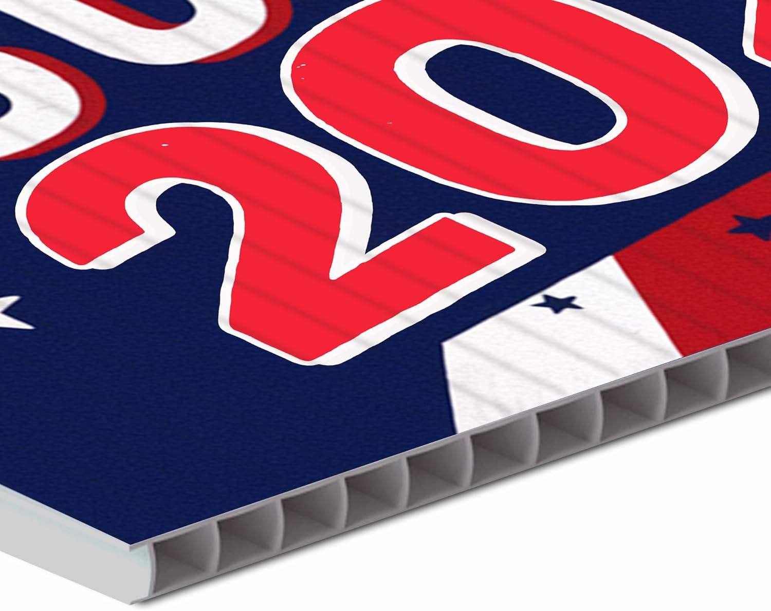 24"x18" Double Sided Funny Political Yard Signs with Stakes, Everybody Sucks 2024 Yard Sign, Funny Presidential Yard Signs (D 3)