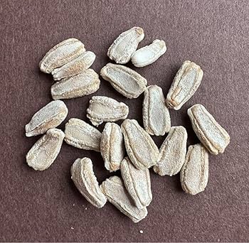 Amazon.co.jp: ひょうたん種 千成瓢箪 20粒 増量可 : DIY・工具