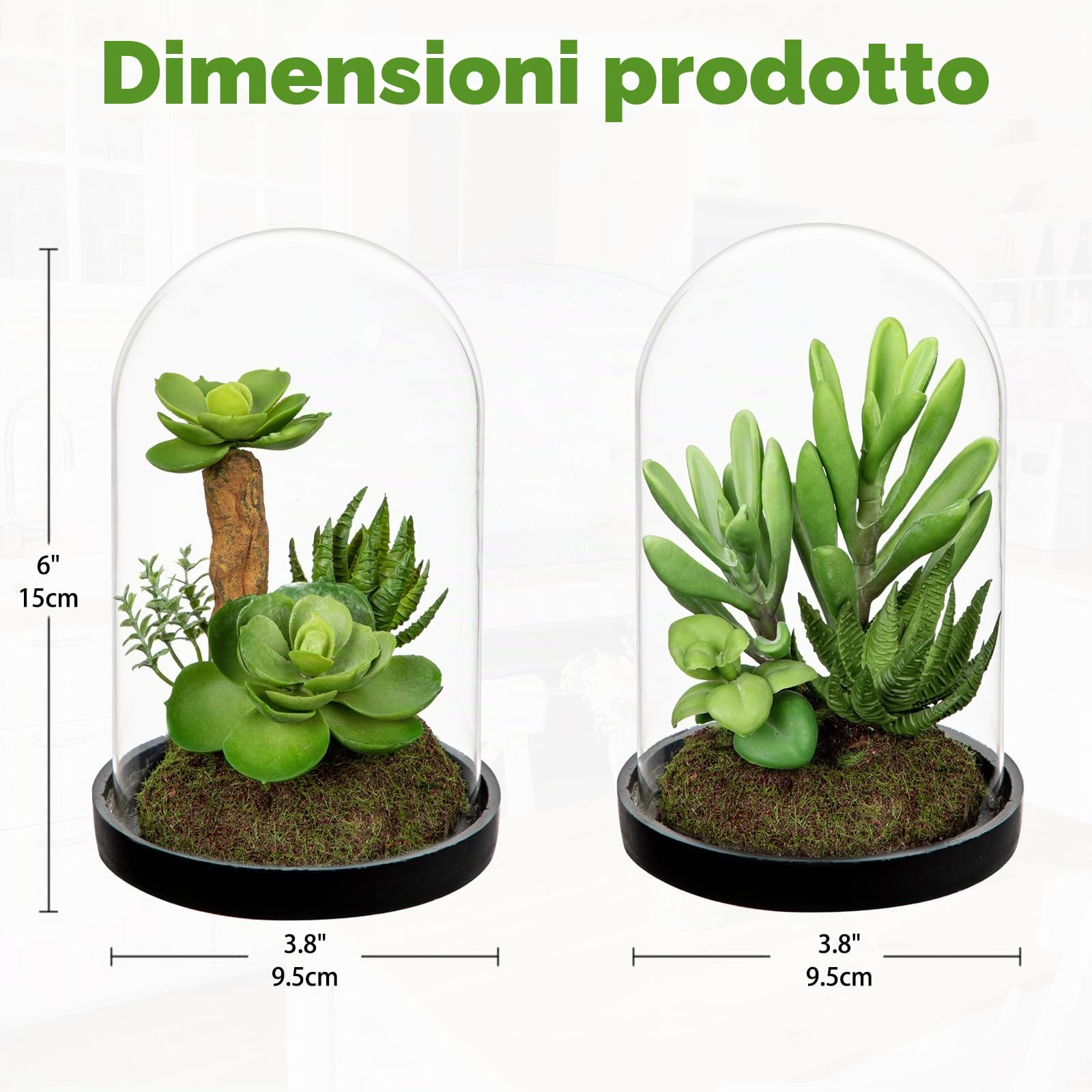 2 piante grasse artificiali in campana di vetro trasparente, 15 cm, piccole piante grasse finte con muschio, pianta decorativa per interni, ufficio, mensola, davanzale, centrotavola