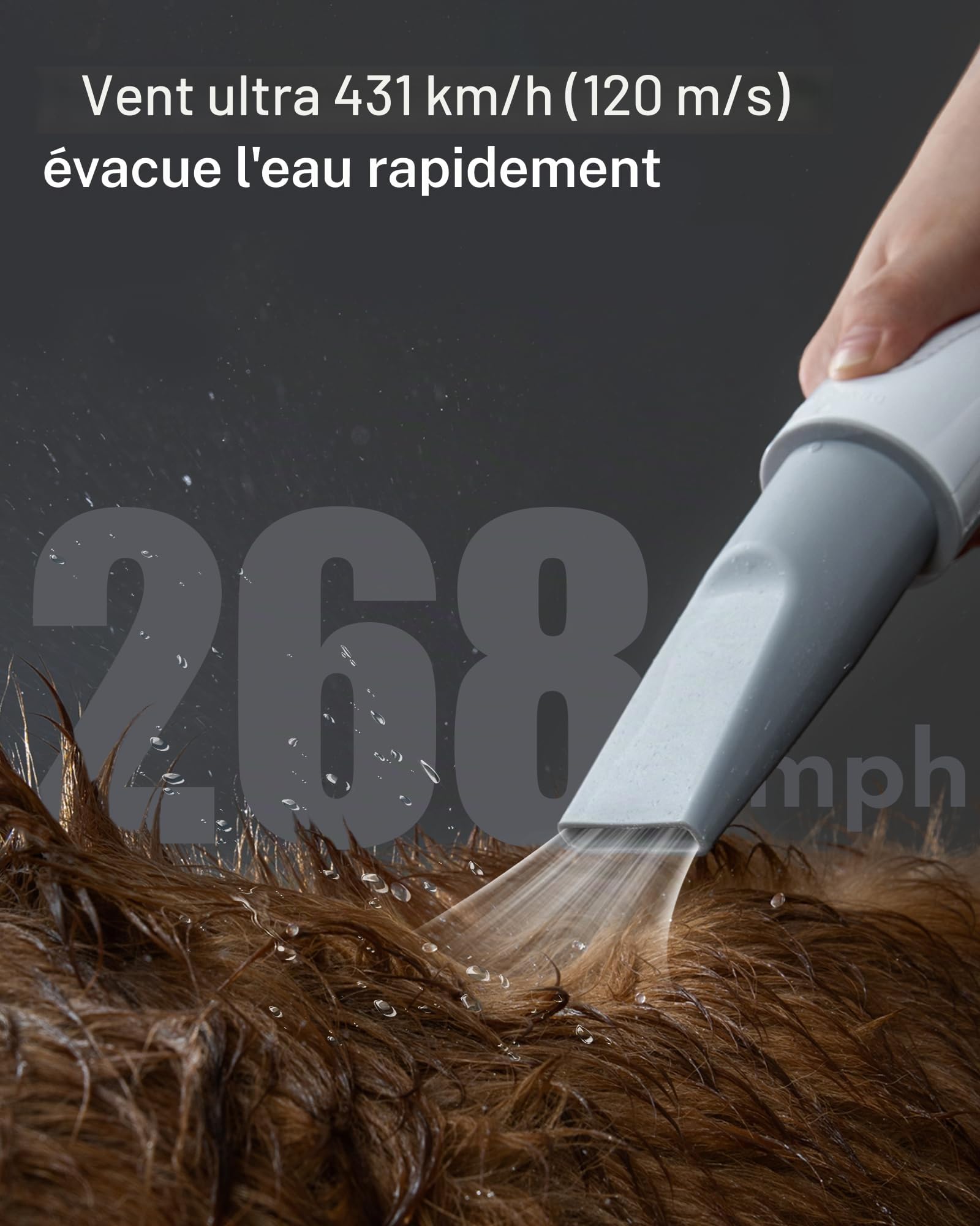 HomeRunPet Pulseur pour Chien 43dB Silencieux, 268mph, Aspirateur Poil de Chien 99 Vitesse et 3 Température réglable, Sèche Cheveux Professionnel pour Chien avec 3 Buses