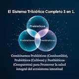 Ver la foto 3