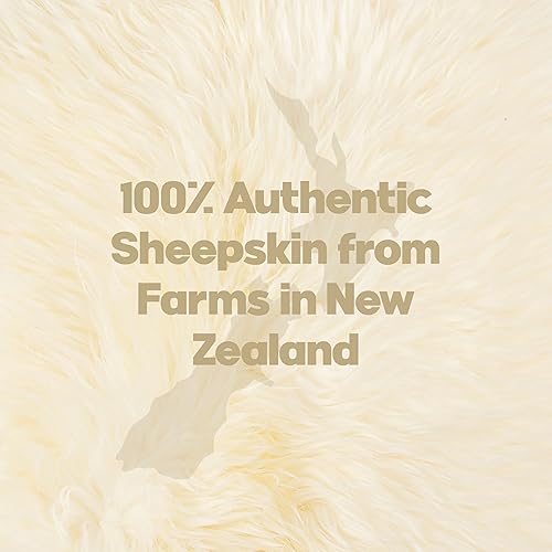 Miniatura 4 de Almohadilla de piel de oveja natural con respaldo antideslizante, 100% lana de oveja de Nueva Zelanda real para asiento de automóvil, silla