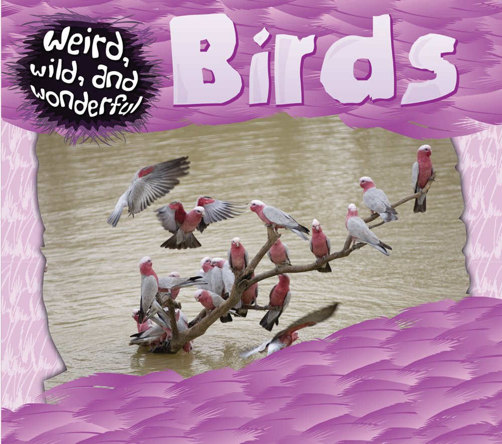 Birds (Weird, Wild, and Wonderful)