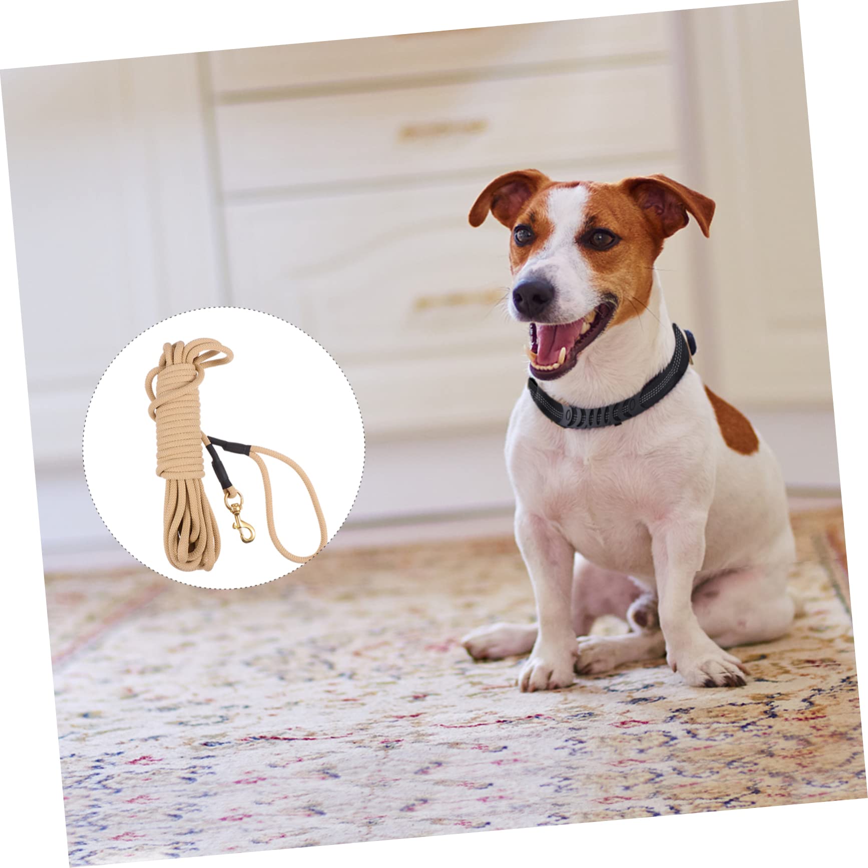 Guinzaglio lungo Cani da Addestramento 10 Metri Khaki