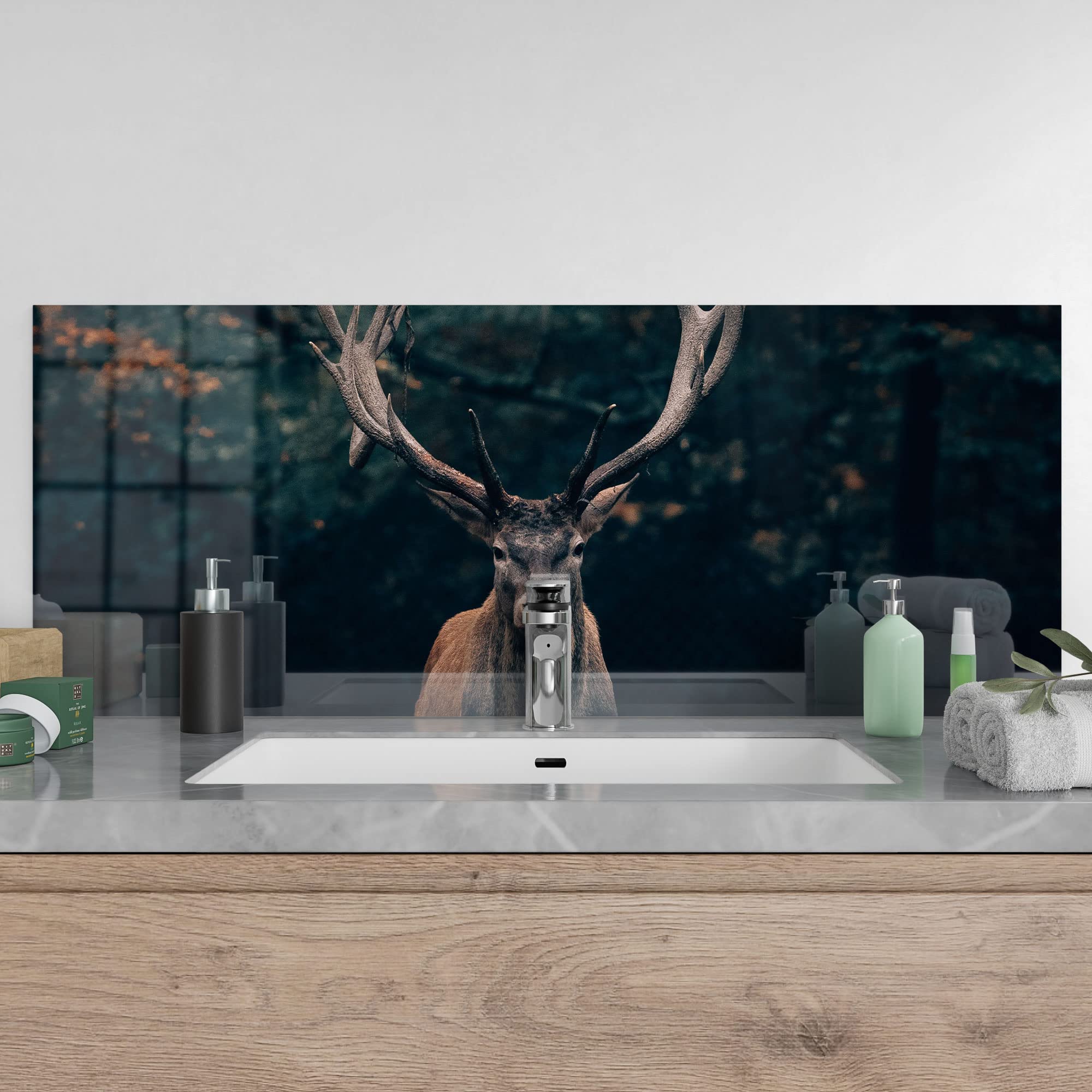 DEQORI Küchenrückwand Aus Glas – Motiv Elch Im Teutoburger Wald, 80x40 Cm – Spritzschutz Für Herd & Waschbecken, Nanodruck, 3D-Effekt