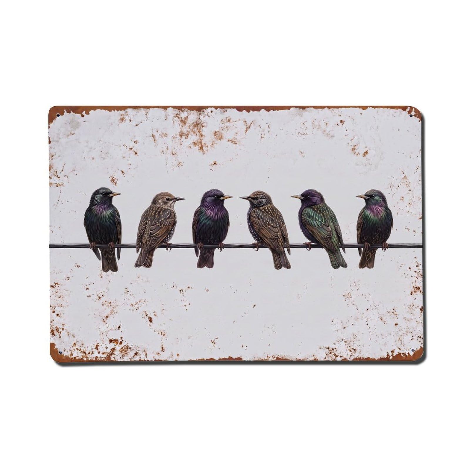 Vintage Retro Birds Starling Metal Tin Sign
