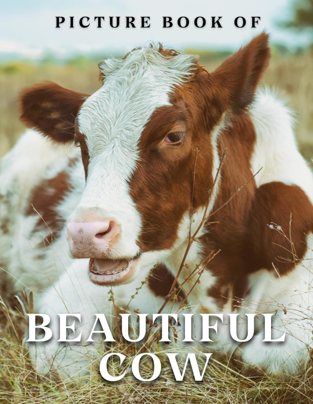 Picture Book of Beautiful Cow: A collection of photographs of Beautiful Cows and Calves (Animal Picture Books).