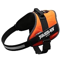 Julius-K9, Pettorina IDC Power