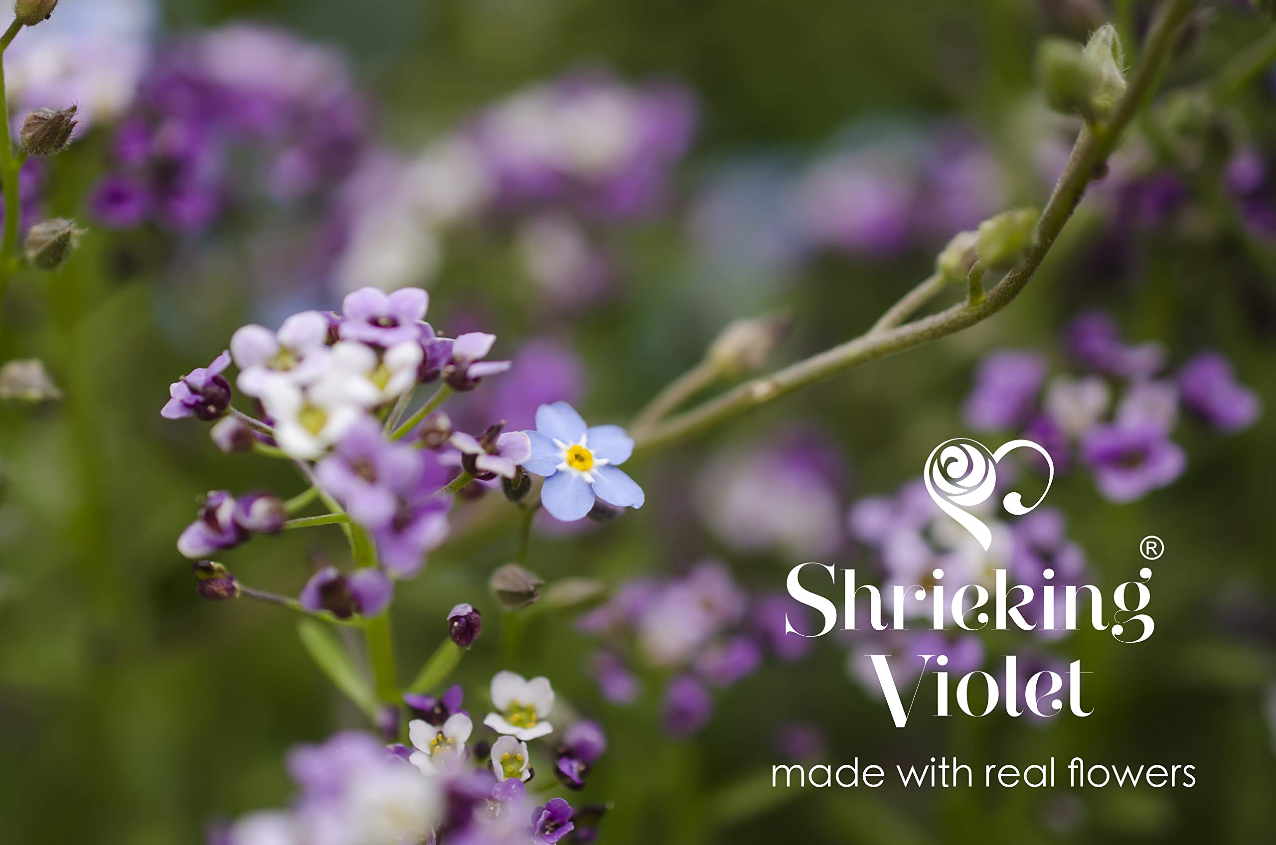 Shrieking Violet® - Collana con ciondolo ovale in argento sterling placcato oro con fiori veri, gioielli floreali
