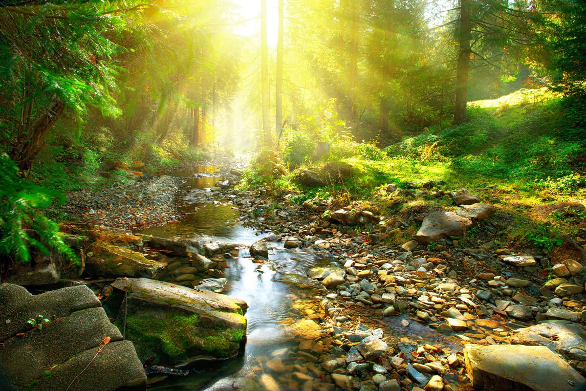 A.S. Création Wallpaper Arroyo 3,75 m x 2,50 m - WALLLOVE Wallpaper Arroyo in The Forest in Green, Brown incl. Glue - DD129574