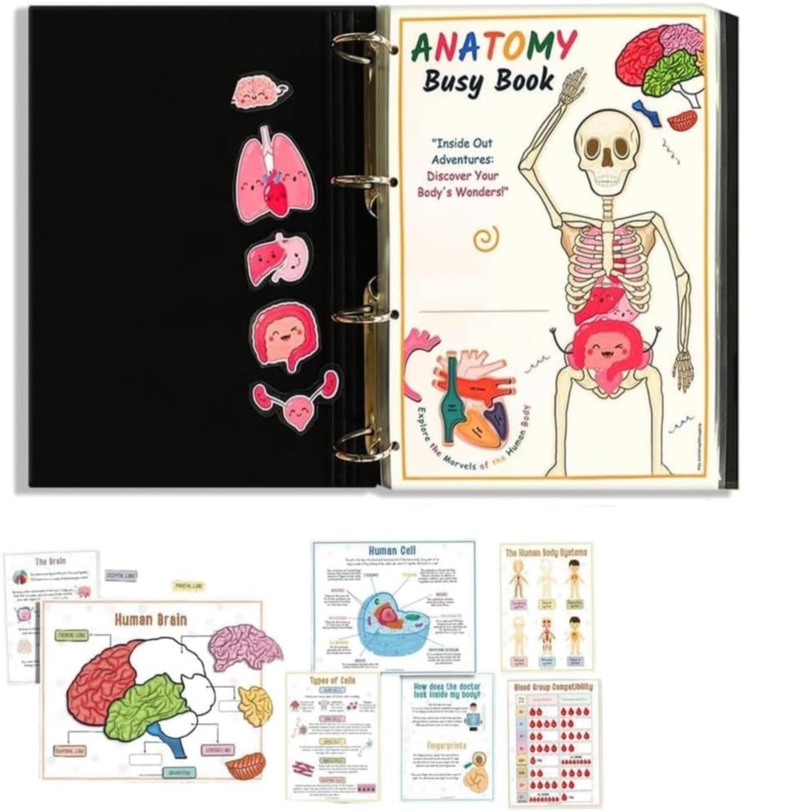 Jmwedia Lightning Deals Of Today Prime Human Anatomy Busy Book Human Body Anatomy Busy Book For Human Organ Preschool Interactive Anatomy Busy Book For The Of The Human Body