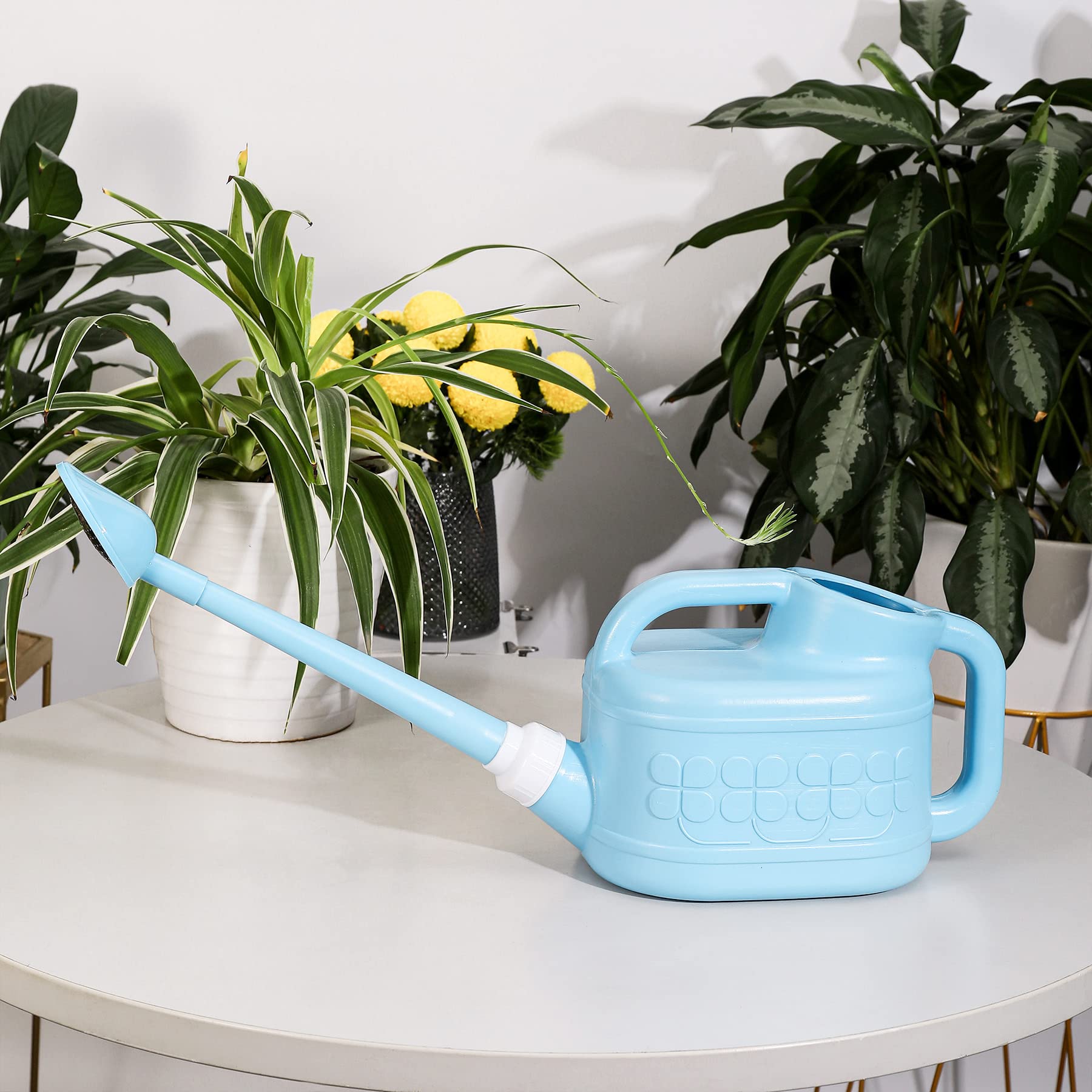 Arrosoir de jardin pour plantes d'intérieur et d'extérieur, arrosoir en plastique Ebristar de 3,8 l avec long bec et tête d'arrosage amovible rotative à 360 degrés, pot d'arrosage léger pour plantes