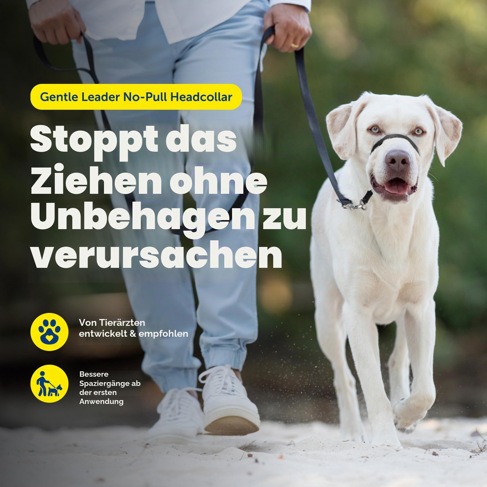 PetSafe Gentle Leader Hundekopfhalsband, die ultimative Lösung gegen Ziehen, leitet das Ziehen des Hundes um, für einfachere Spaziergänge, hilft dir, die Kontrolle wiederzuerlangen, Größe L, Anthrazit