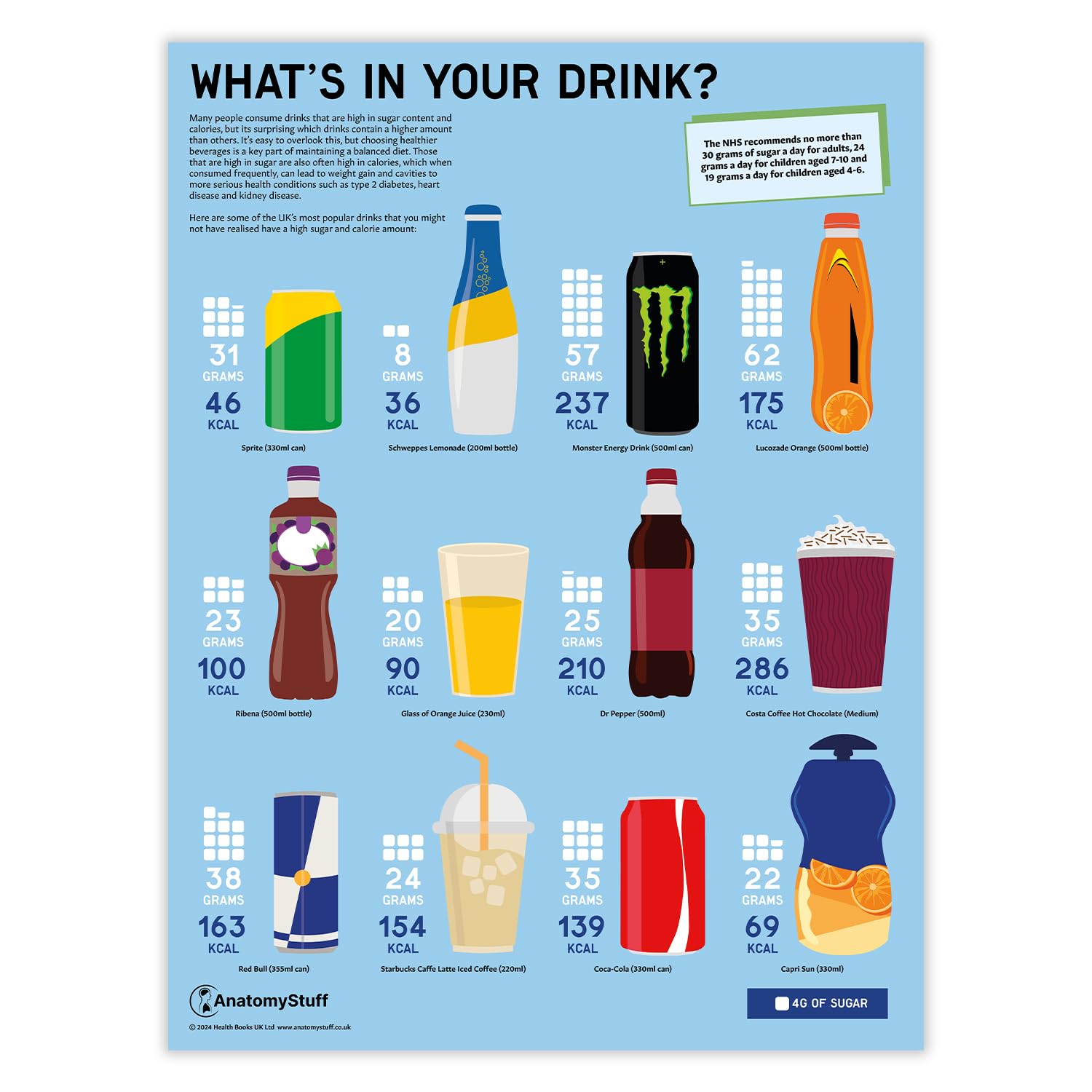 Anatomy Stuff What's In Your Drink Poster/Chart, 45x60 cm, 18x24 inches, Sugar Chart. Calories Diagram, Health and Wellness Poster