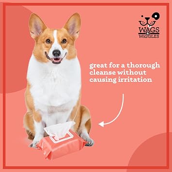 Wags & Wiggles Purify Hypoallergenic Wipes 100ct