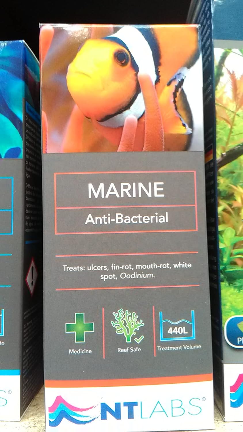 NT LABS ANTIBACTERIAL Amazon.co.uk Pet Supplies