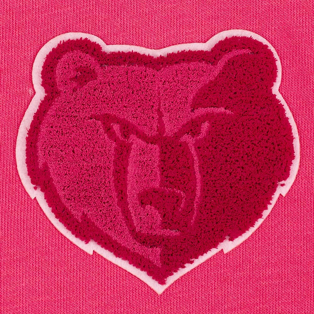 [Pro Standard] フード付きトレーナー Womens Nba Classic Triple Pink Brushed B