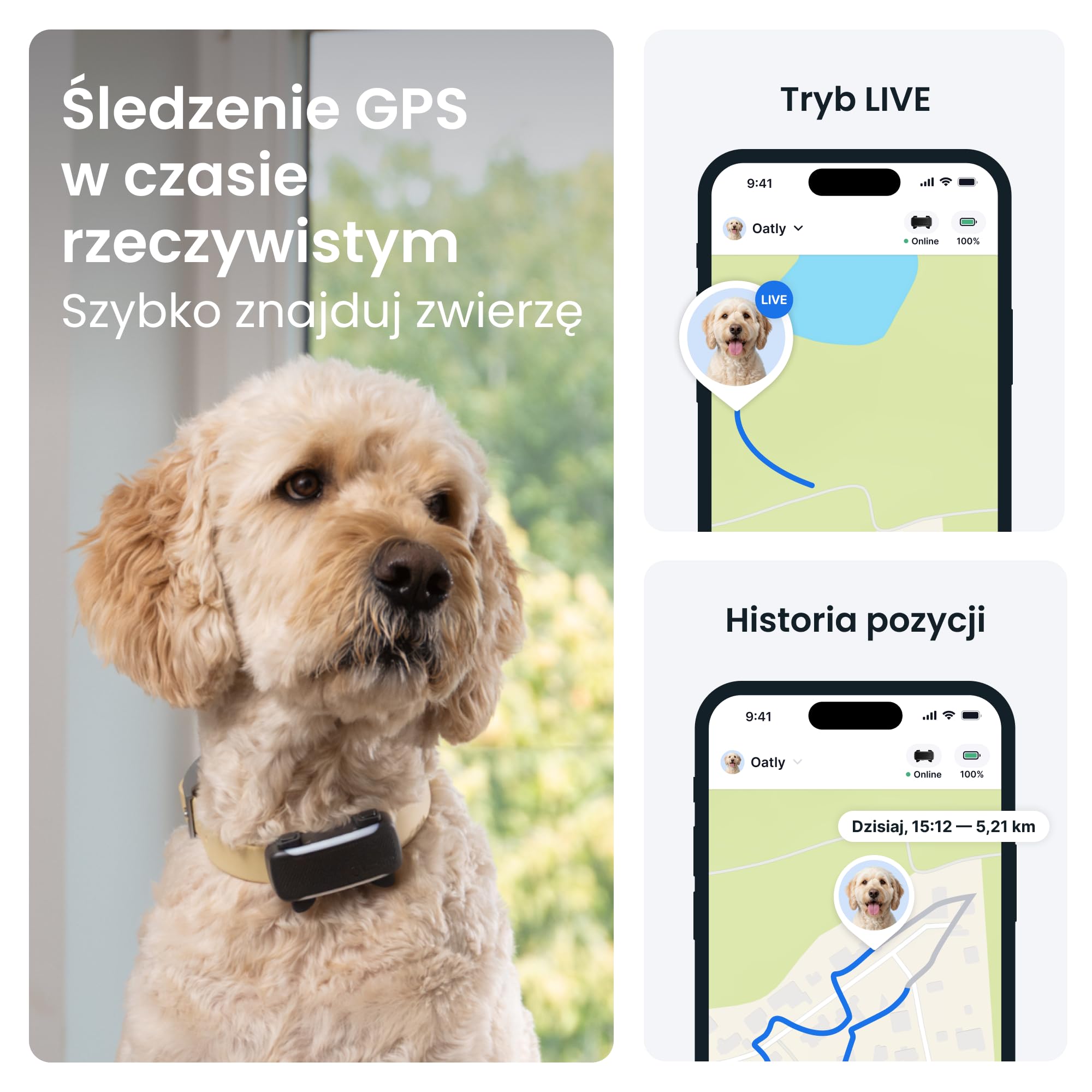 Tractive — Inteligentny Lokalizator dla Psa XL | 2026 Edition | Śledzenie GPS na Żywo | Alerty o Ucieczce i Zdrowiu | Monitorowanie Parametrów Życiowych | Długi Czas Działania Baterii (czarny)