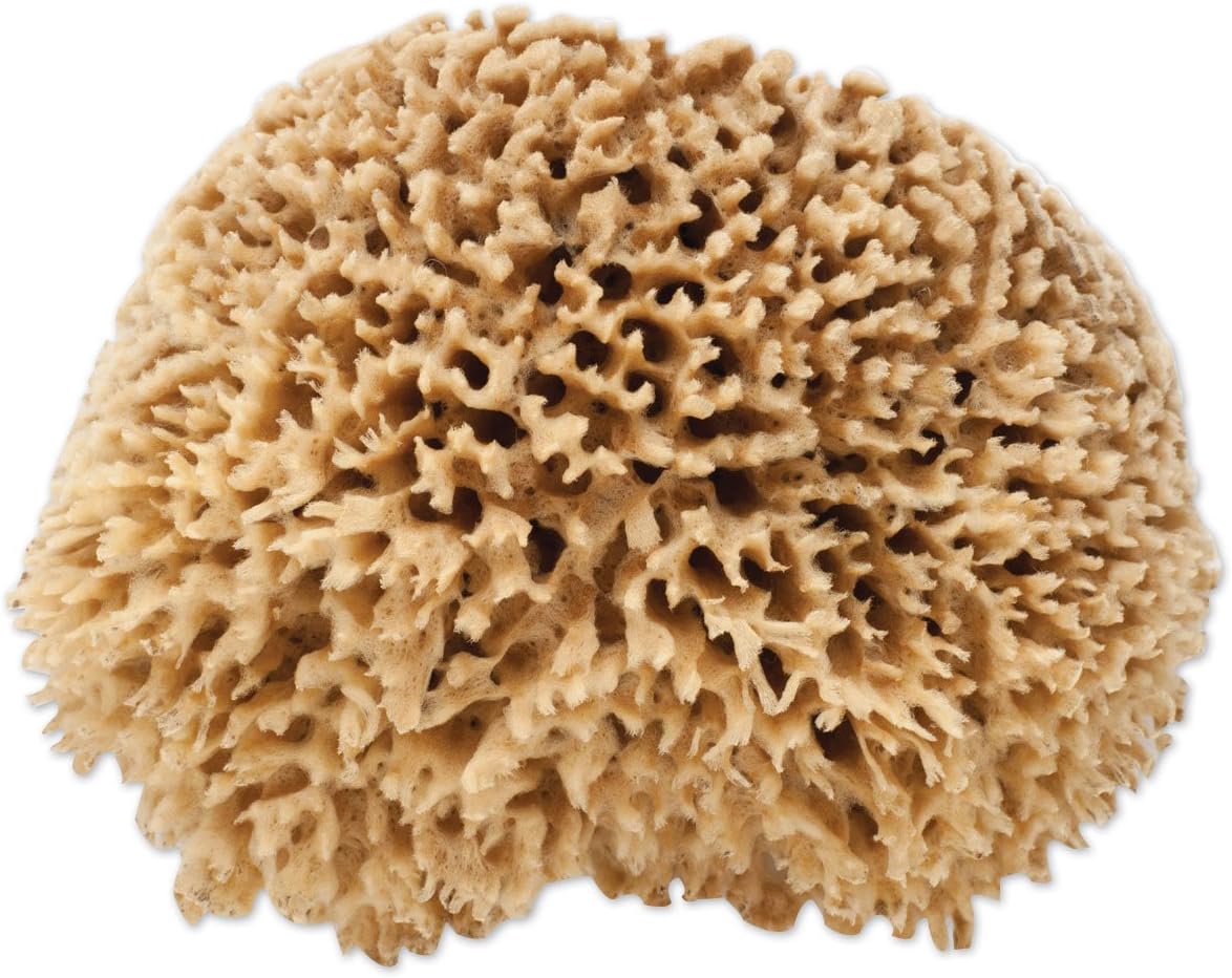 The Natural Décor, Wool, 7 to 8-Inch