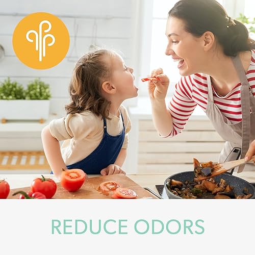 Miniatura 2 de TruSens DuPont - Filtro de olor y COV con HEPA verdadero para purificador de aire Z-2000 TruSens (mediano)