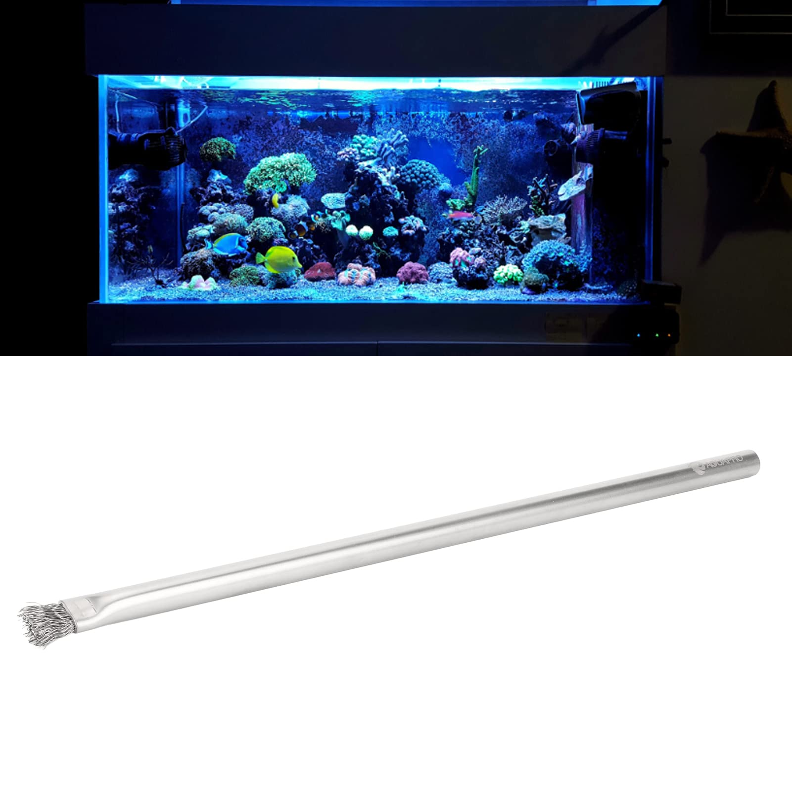 Brosse à algues d'aquarium, durable et à poils métalliques, brosse professionnelle en acier inoxydable 304 doux pour pierre pour aquarium