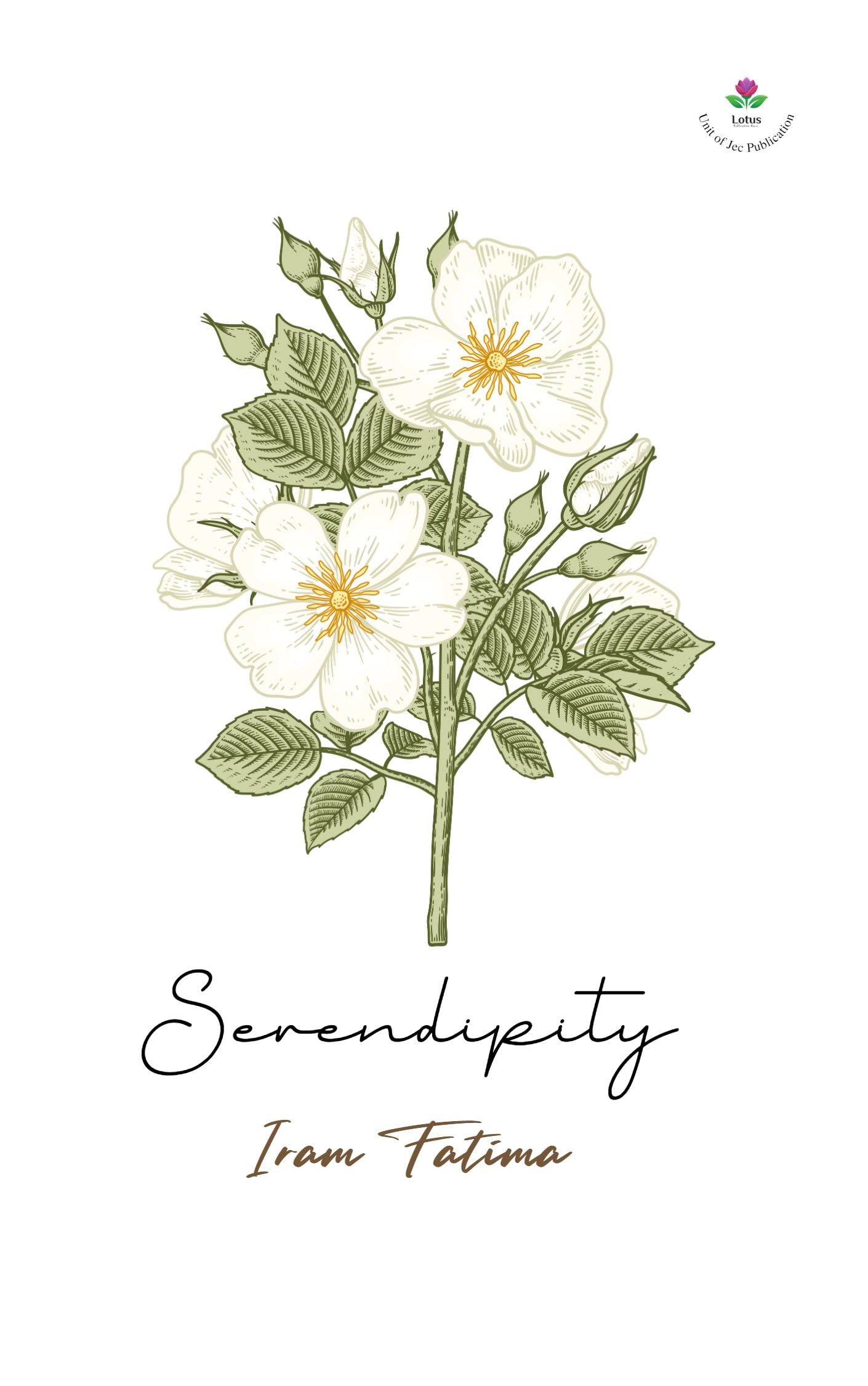 Serendipity - words of unexpected good luck Perfect Paperback