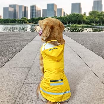 dog rain coats amazon